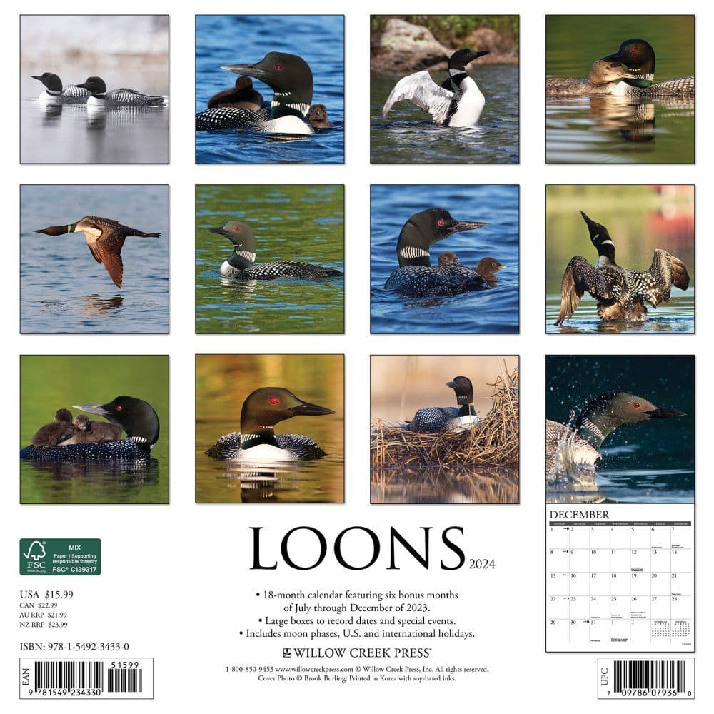 Loons 2024 Wall Calendar