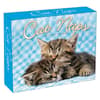 image Cat Naps 2025 Desk Calendar Main Product Image width=&quot;1000&quot; height=&quot;1000&quot;
