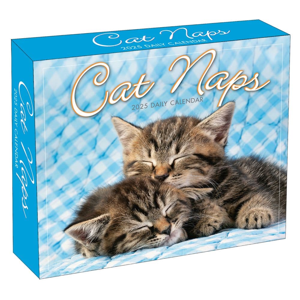 Cat Naps 2025 Desk Calendar Main Product Image width=&quot;1000&quot; height=&quot;1000&quot;