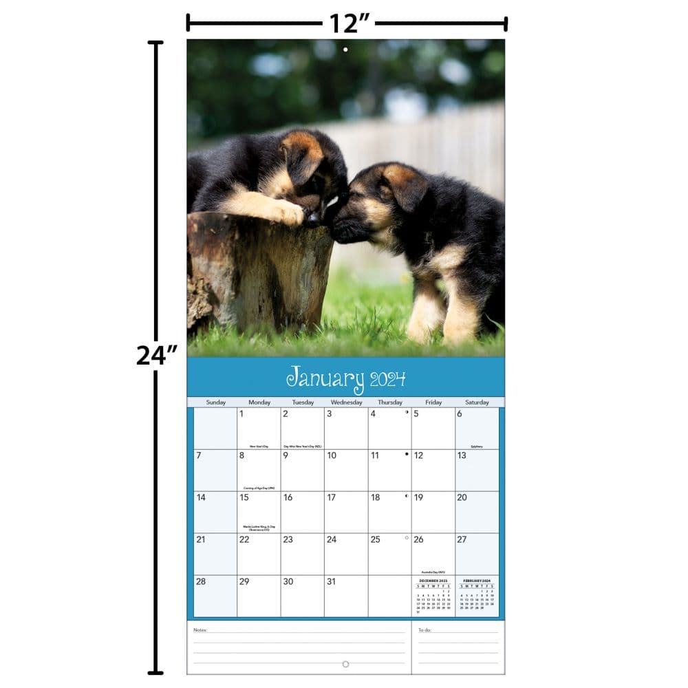 Playful Puppies 2024 Wall Calendar Alternate Image 4
