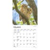 image Owls 2025 Mini Wall Calendar