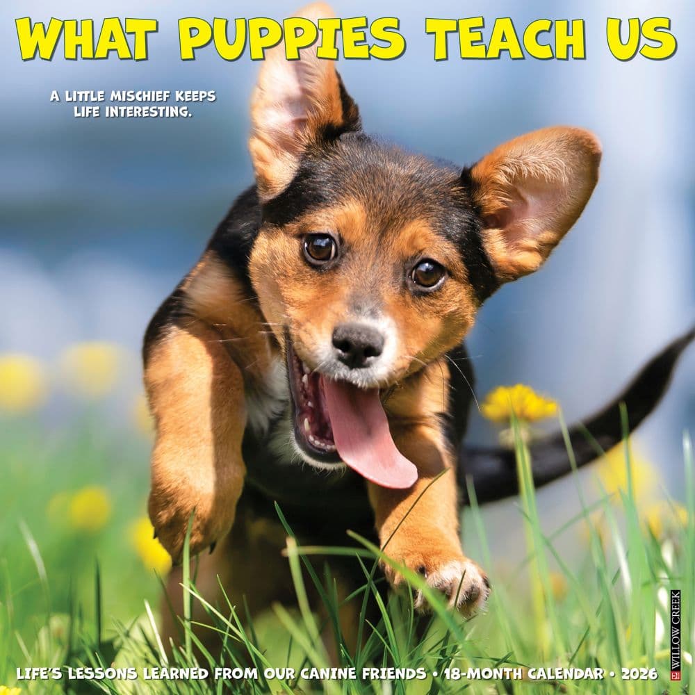 What Puppies Teach Us 2026 Wall Calendar Main Image