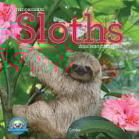 image Sloths 2026 Mini Wall Calendar  Main Image