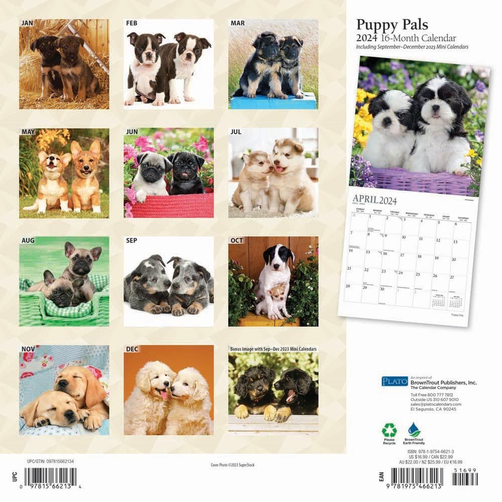 Puppy Pals 2024 Wall Calendar