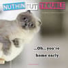 image Nuthin But Trouble 2024 Mini Wall Calendar Main Product Image width=&quot;1000&quot; height=&quot;1000&quot;