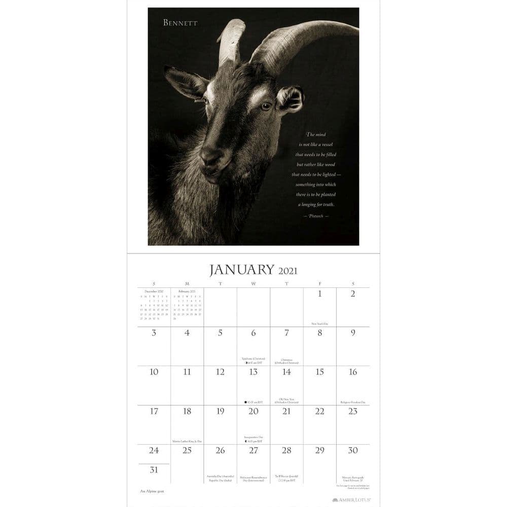 I am Goat Wall Calendar