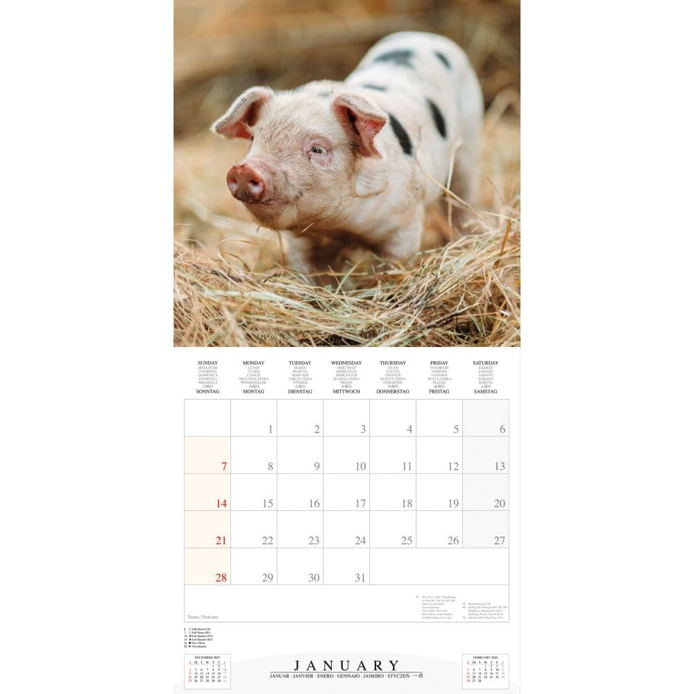 Piggies 2024 Wall Calendar Main Alt 2