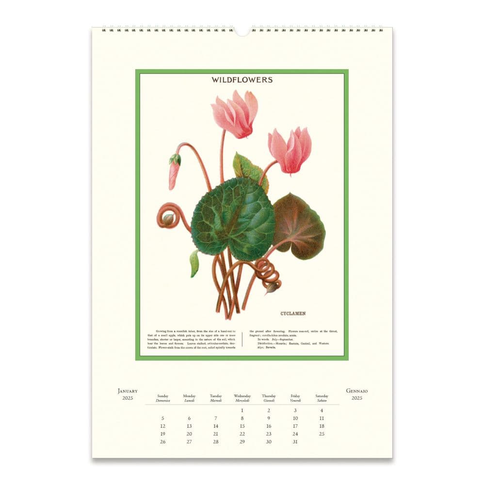 Wildflowers Poster 2025 Wall Calendar First Alternate Image width=&quot;1000&quot; height=&quot;1000&quot;