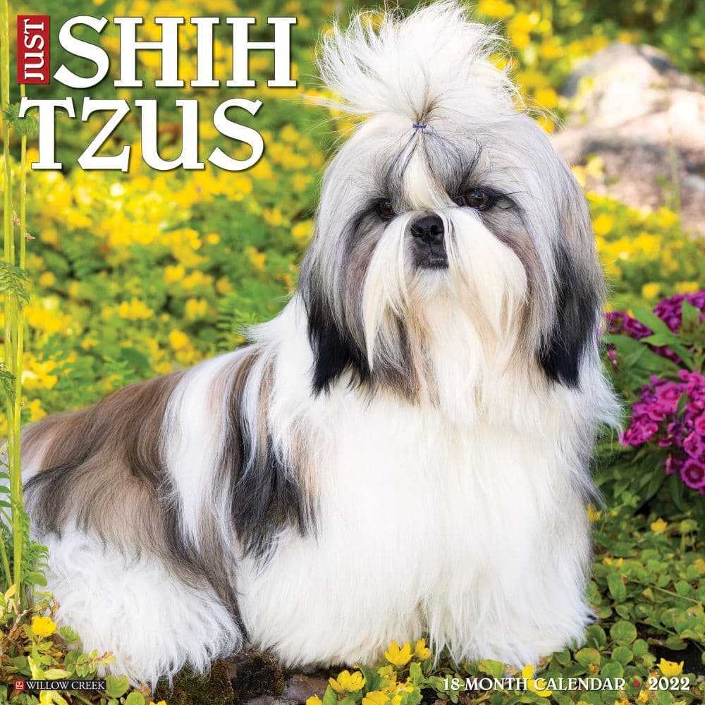 Shih Tzu 2022 Calendars Dog Calendars