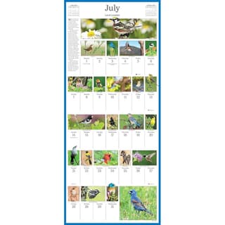 RSPB Household Planner Wall Calendar 2024