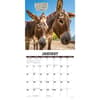 image Sassy Jackassy 2025 Wall Calendar Second Alternate Image width="1000" height="1000"