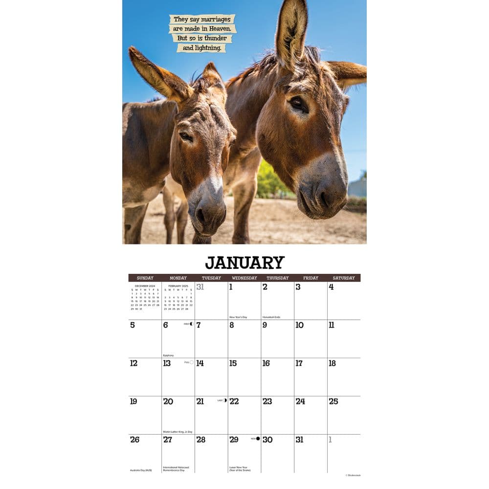 Sassy Jackassy 2025 Wall Calendar Second Alternate Image width="1000" height="1000"