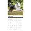 image Just Old English Sheepdogs 2025 Wall Calendar