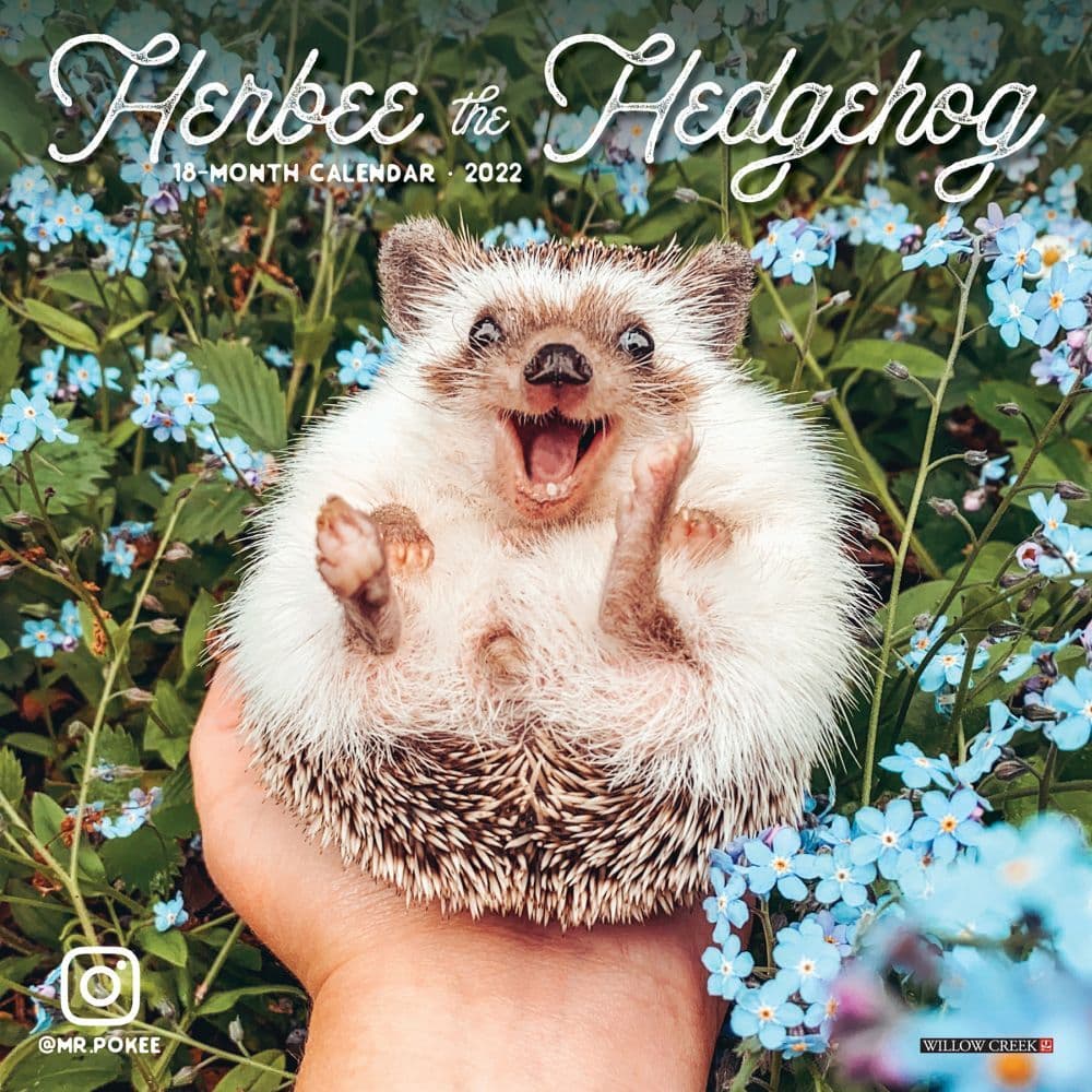 Herbee the Hedgehog 2022 Mini Wall Calendar