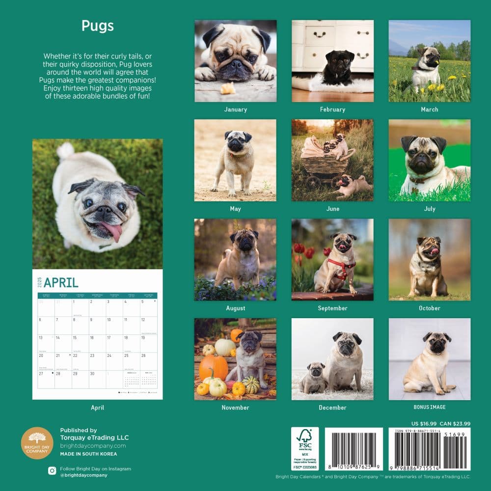 Pugs 2025 Wall Calendar First Alternate Image