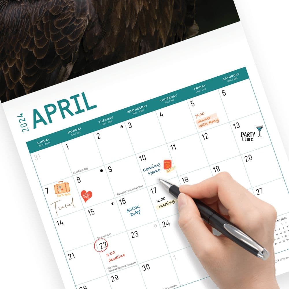 Bald Eagles 2024 Wall Calendar Fourth Alternate Image width=&quot;1000&quot; height=&quot;1000&quot;