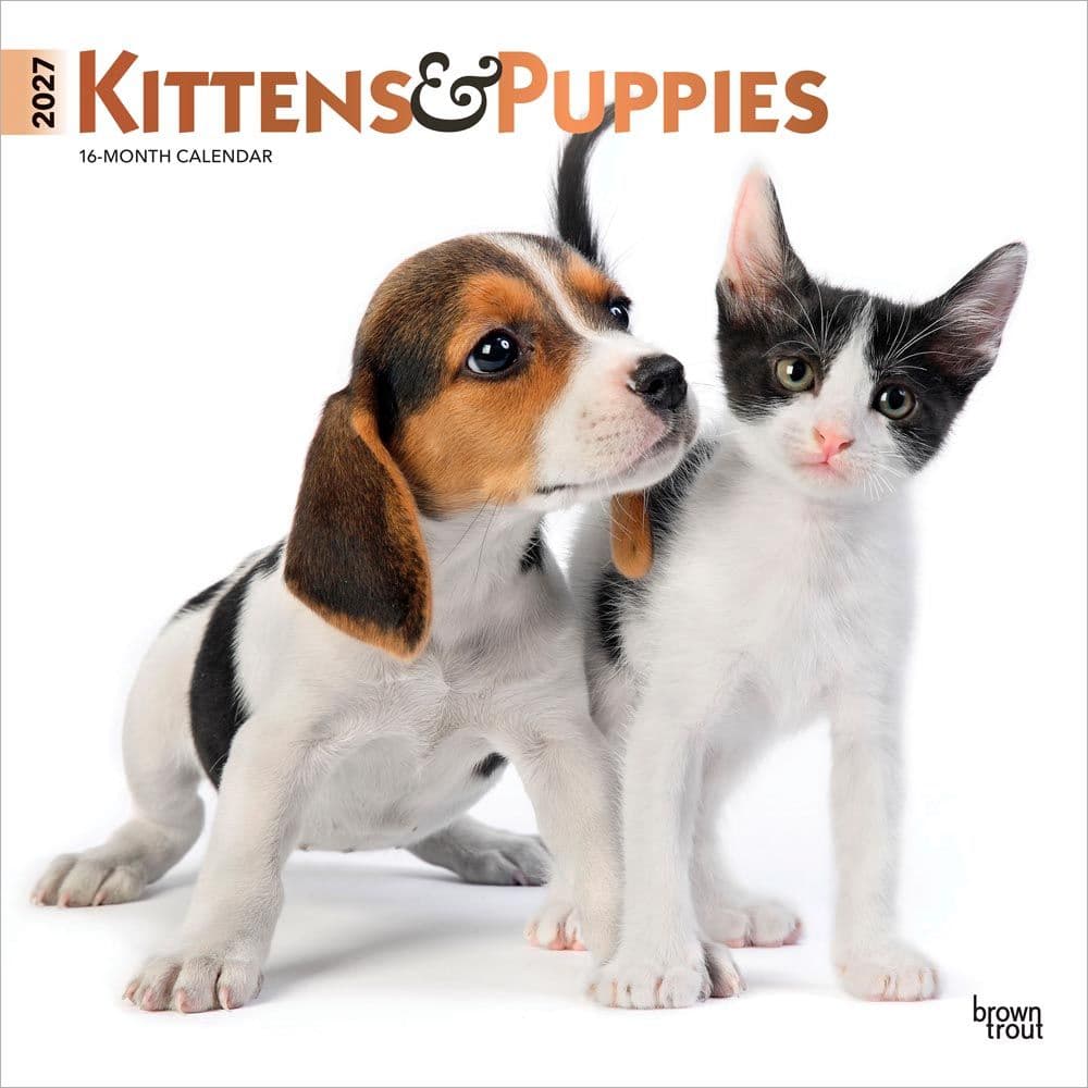 Kittens And Puppies 2027 Wall Calendar Main Product Image