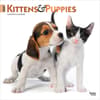 image Kittens And Puppies 2027 Wall Calendar Main Product Image