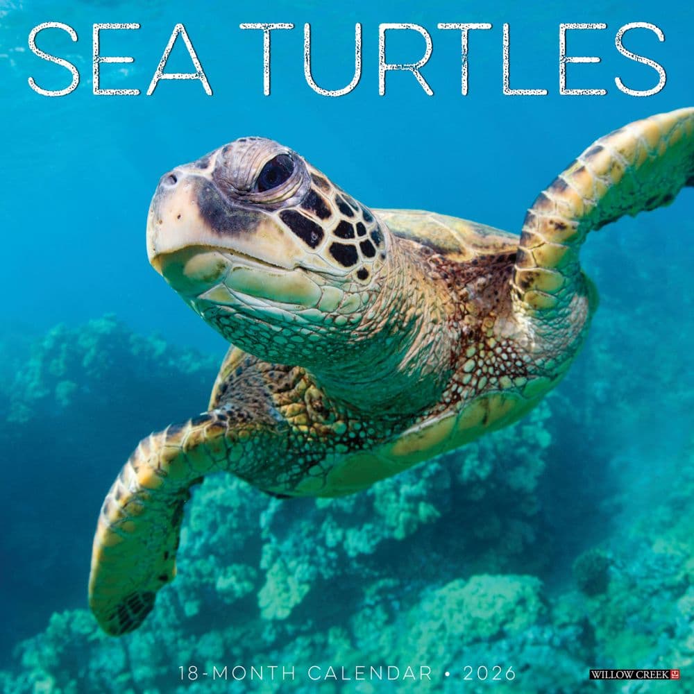 image Sea Turtles 2026 Wall Calendar