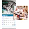 image Kittens Curious Photo 2024 Mini Wall Calendar Fourth Alternate Image width=&quot;1000&quot; height=&quot;1000&quot;