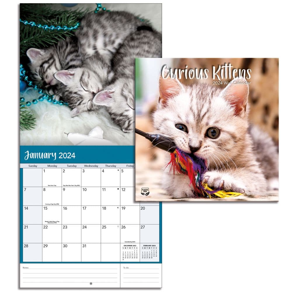 Kittens Curious Photo 2024 Mini Wall Calendar Fourth Alternate Image width=&quot;1000&quot; height=&quot;1000&quot;