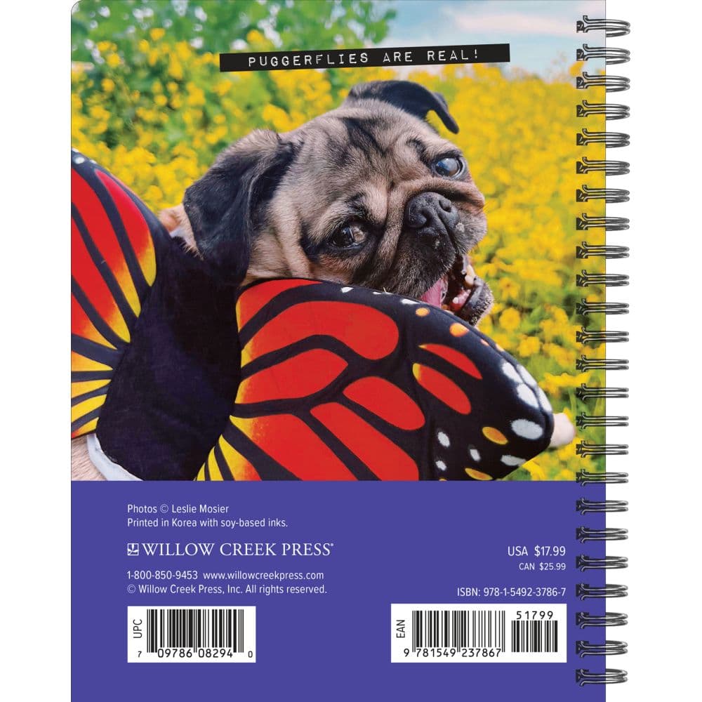 Doug The Pug 2024 Engagement Planner Calendars Com   7502853c 76cc 4f1c B802 1983b8587480