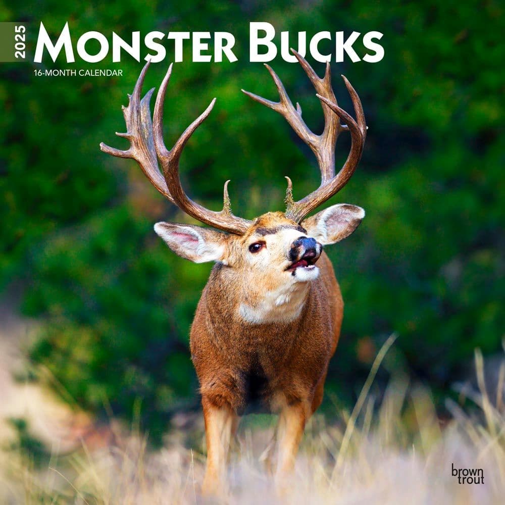 Monster Camp Bucks And Bulls Calendar 2025