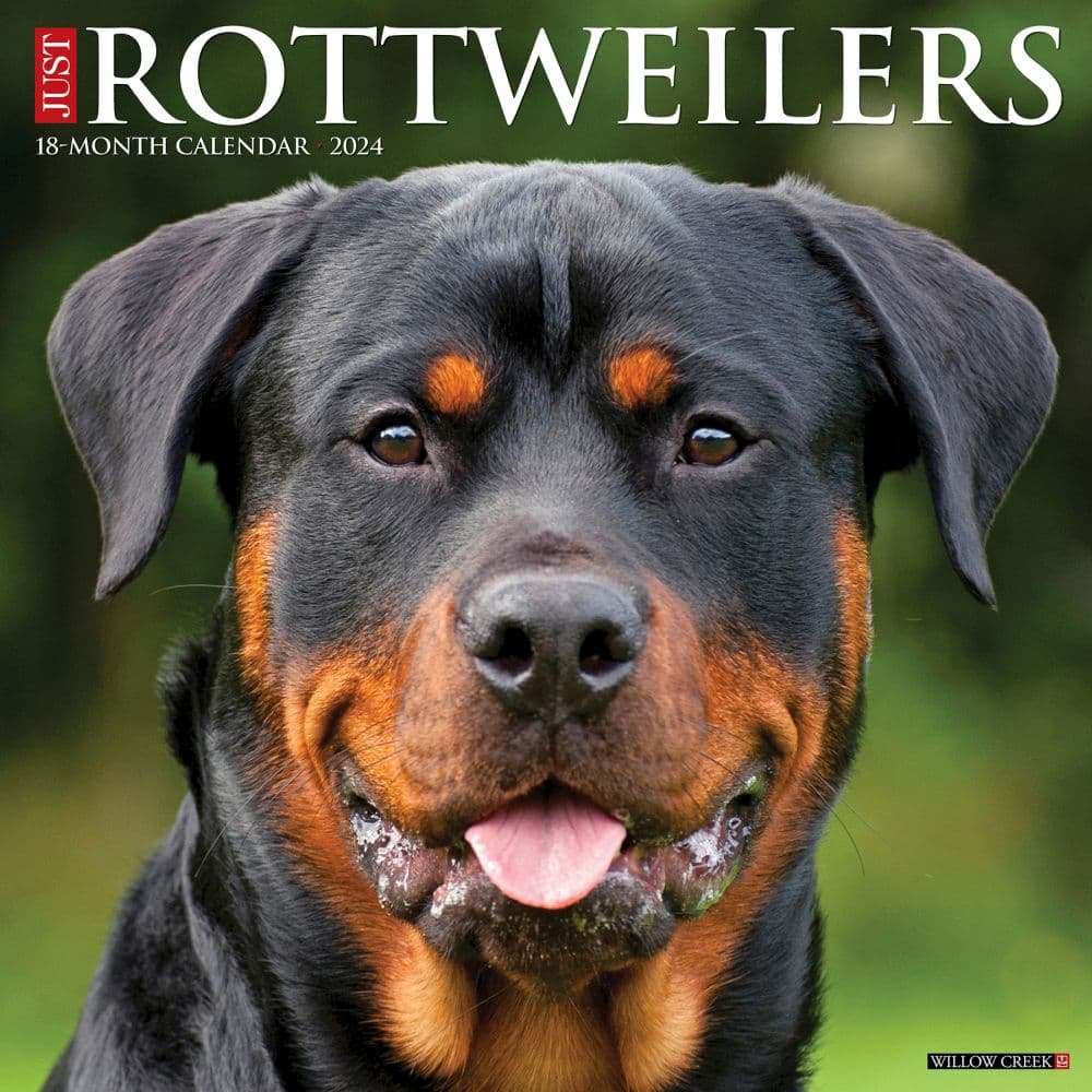 Just Rottweilers 2025 Wall Calendar