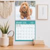 image Doodle Dogs Photo 2026 Wall Calendar