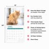 image Persian Cats 2025 Wall Calendar Fourth Alternate Image width=&quot;1000&quot; height=&quot;1000&quot;