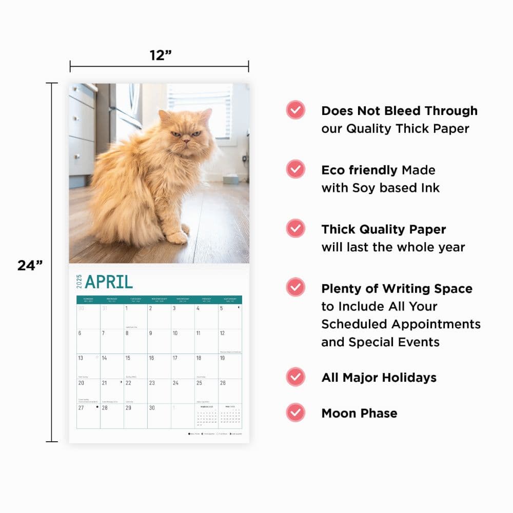 Persian Cats 2025 Wall Calendar