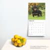 image Dachshunds 2025 Wall Calendar Fourth Alternate Image width=&quot;1000&quot; height=&quot;1000&quot;