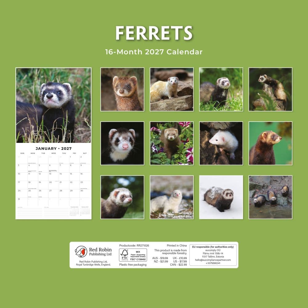 Ferrets 2027 Wall Calendar First Alternate Image