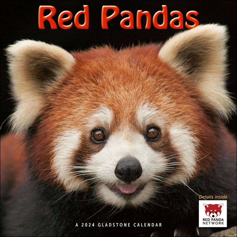 Red Pandas 2024 Wall Calendar Main Product Image width=&quot;1000&quot; height=&quot;1000&quot;