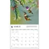 image Hummingbirds WWF 2024 Wall Calendar Alternate Image 2