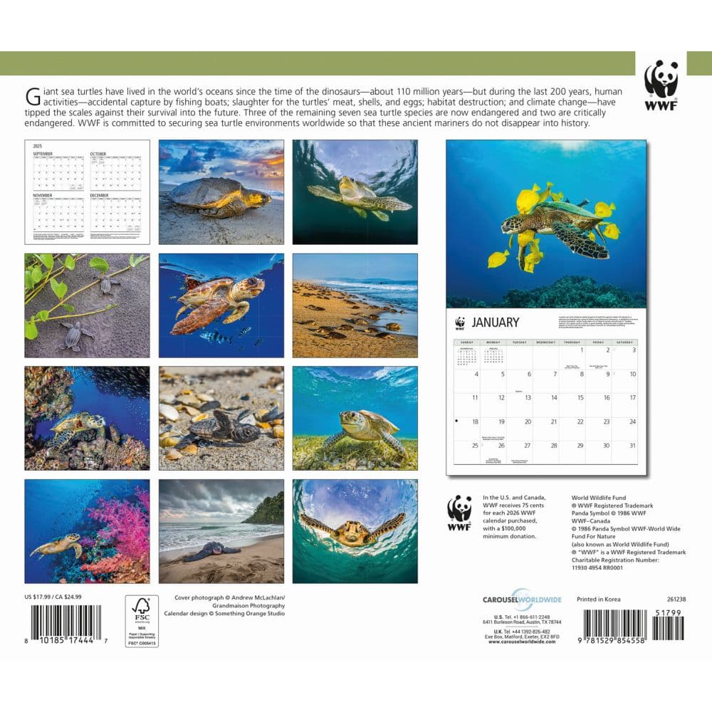 Sea Turtles WWF 2026 Wall Calendar First Alternate Image
