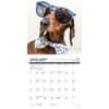 image Dachshund Rules 2025 Mini Wall Calendar Second Alternate Image width="1000" height="1000"