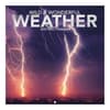 image Wild and Wonderful Weather 2025 Mini Wall Calendar