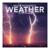 image Wild and Wonderful Weather 2025 Mini Wall Calendar