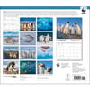 image Penguins WWF 2025 Wall Calendar First Alternate Image width="1000" height="1000"