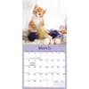 image Curious Kittens 2026 Mini Wall Calendar Second Alternate Image