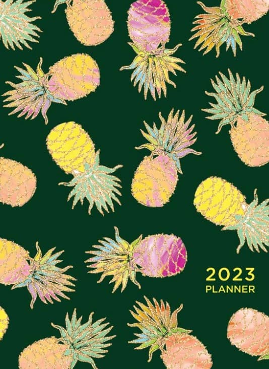 Pick A Pineapple 2023 Planner - Calendars.com