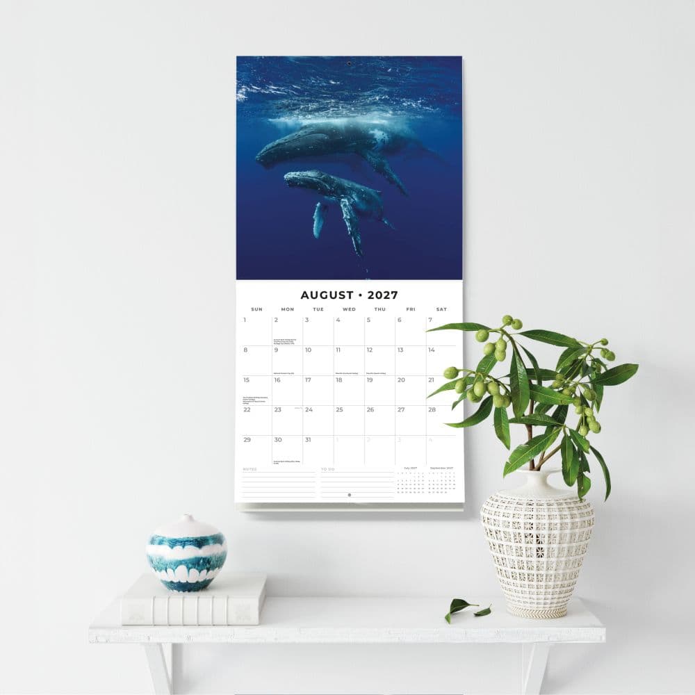 Whales 2027 Wall Calendar Fifth  Alternate Image