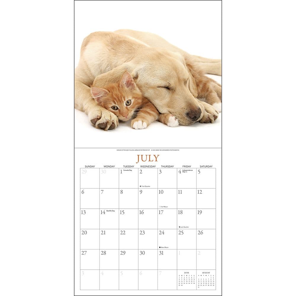 Kittens and Friends 2025 Wall Calendar Second Alternate Image width=&quot;1000&quot; height=&quot;1000&quot;