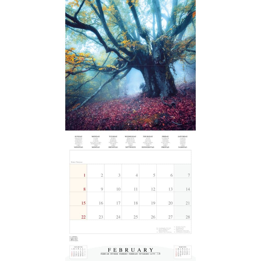 Deep Forest 2026 Wall Calendar Third Alternate Image