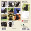 image Black Cats 2024 Mini Wall Calendar First Alternate Image width=&quot;1000&quot; height=&quot;1000&quot;
