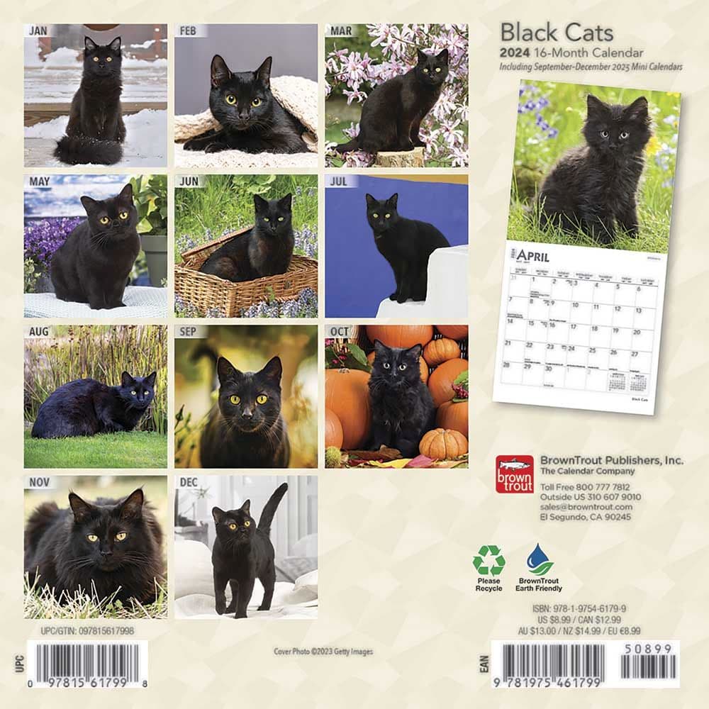 Black Cats 2024 Mini Wall Calendar First Alternate Image width=&quot;1000&quot; height=&quot;1000&quot;