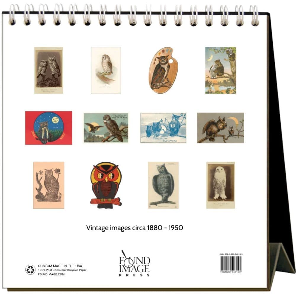 Owls 2026 Easel Desk Calendar First Alternate Image