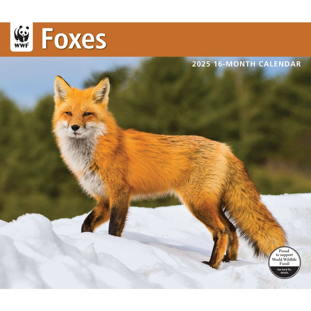 Foxes WWF 2025 Wall Calendar Main Image