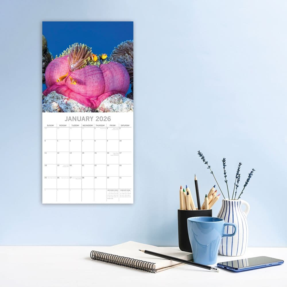 Under the Sea 2026 Wall Calendar Second Alternate Image